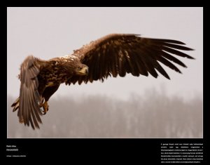 1914759_127666190606411_7679949_n