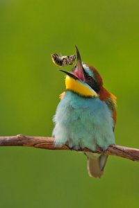 58674_149096495130047_3605210_n