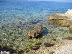 12462261_7ecae574f8a0af9bac01e690cc2aade6_xl