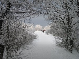 12643789_48f46b0da6911c7fb7faf7e6863b24fd_xl