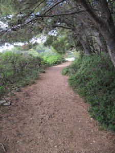 14136839_07b4789495783cce831f0276feb8e154_xl