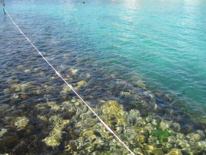 14136853_f61243ed3d909f37efcfce4224b9e87f_xl