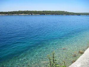 14136865_0dec4919aece9f8fde72de32e2d277db_xl