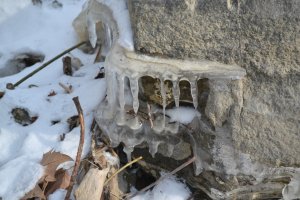 14546361_ac29c98ddfcc45ee4b17155c2f6b37af_xl