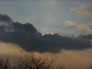 14790187_b28066f9844928dce2083e6ed4512f15_xl