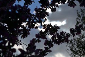 15072717_d147ad49f2237f95d1e70e24e76ef4c4_xl