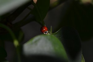 16251099_547afa4994dabe14d34b21af654ecb0f_xl