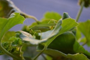 19643489_d1506d18af1e182d051d6f831e86984b_l