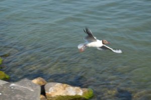 23142573_27b8d79686f909fc987130c97c8301f7_l