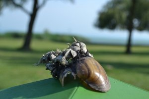 23142585_2f4064c5ae3aa461f4f779d9077f624f_l